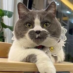 Meet your Posher, Joanne